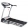 L�pband Trex 3